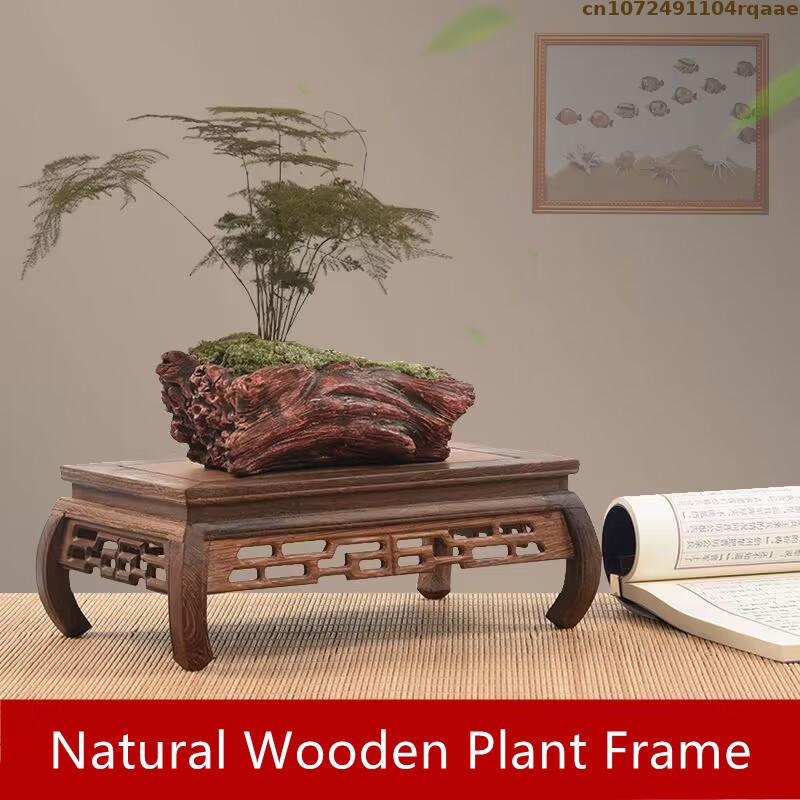 Premium Wooden Bases Bonsai Ho - đánh giá và giá Coffee Tea For Plants