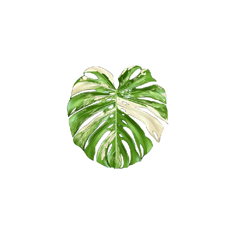 Anti‑Slip Heat‑Insulating Plac - đánh giá và giá Coffee Tea For Plants